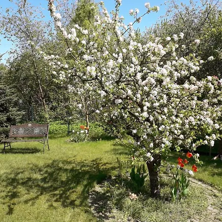 In Der Huebschen Inselstadt